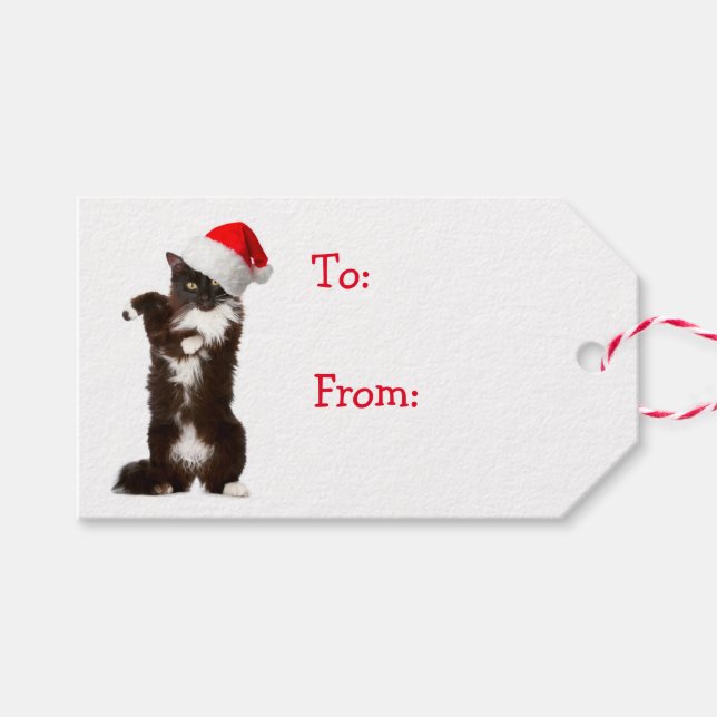 Jingle Bell Rock Cat Gift Tags (Front (Horizontal))