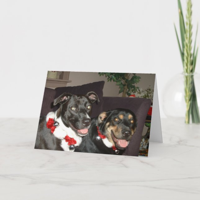 Jingle Dogs Holiday Card (Front)