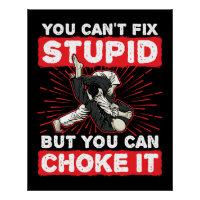 Jiu Jitsu BJJ You Can't Fix Stupid Choke It
