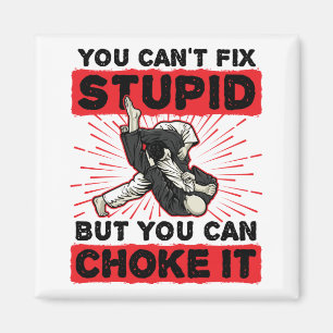 Jiu Jitsu You Can't Fix Stupid But Can Choke It Magnet