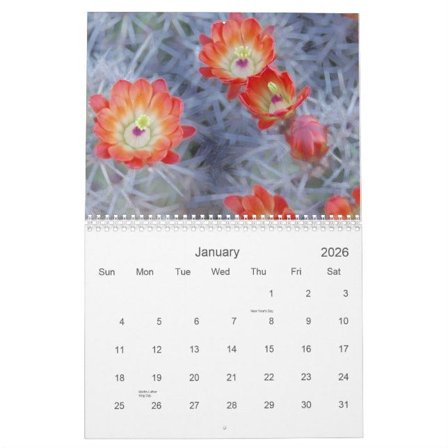 Joanne L Gallery Photography 2012 Calendar (Jan 2026)