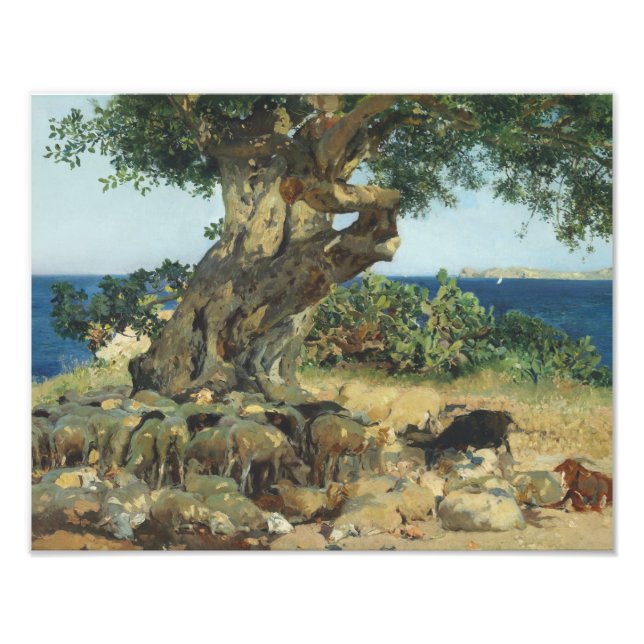 Joaquin Sorolla - The Carob Tree Photo Print (Front)
