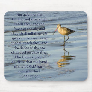 Job 12:7-9 Sandpiper Mouse Mat