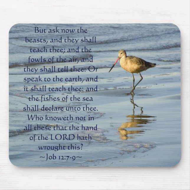 Job 12:7-9 Sandpiper Mouse Mat (Front)