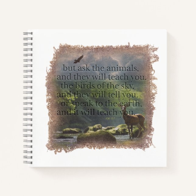 JOB 12:7 - Journal (Front)