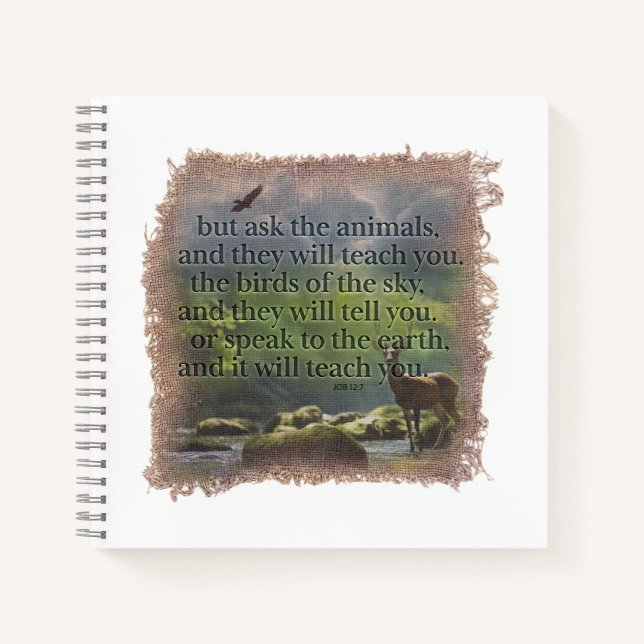 JOB 12:7 - Journal (Front)