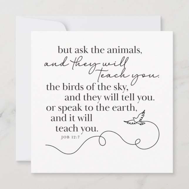 JOB 12:7 - Personalised Note Card (Front)