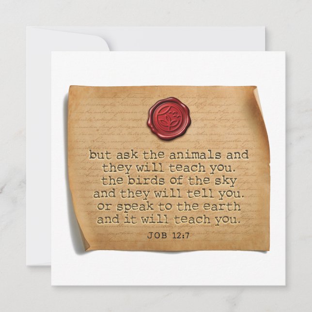 JOB 12:7 - Personalised Notecard (Front)