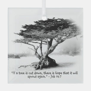 JOB 14:7 Glass Ornament