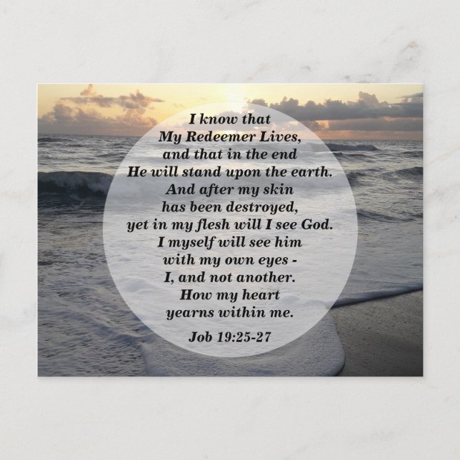 Job 19:25-27 My Redeemer Lives!  Postcard (Front)