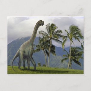 Jobaria Dinosaur Postcard