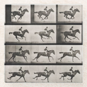 Jockey on a galloping horse, plate 627 from 'Anima Glass Coaster