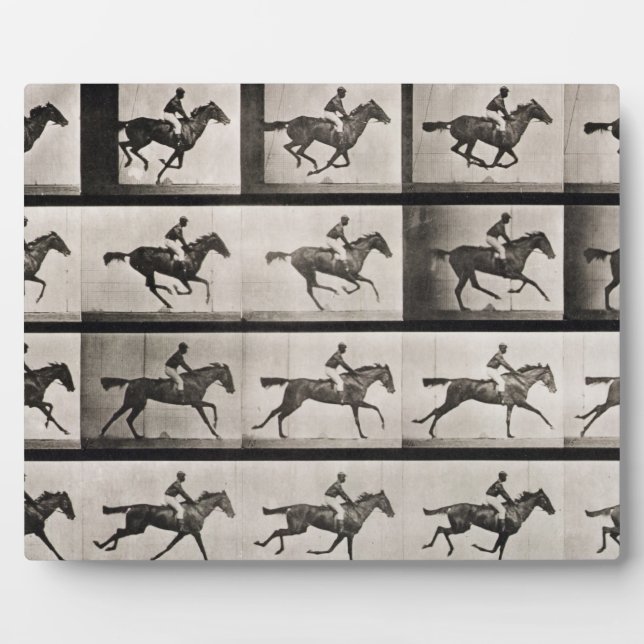 Jockey on a galloping horse, plate 627 from 'Anima Plaque (Front)