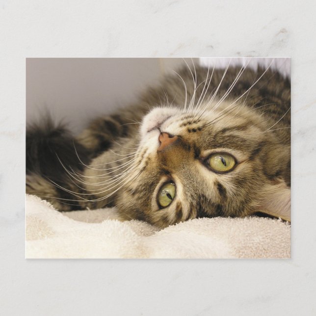 Jody Postcard (Front)