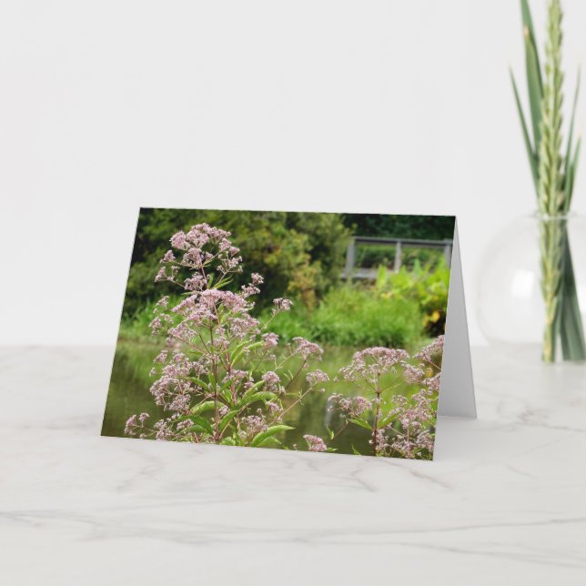 Joe Pye Flowers Note Card (Front)