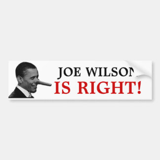JOE WILSON IS RIGHT BUMPER STICKER