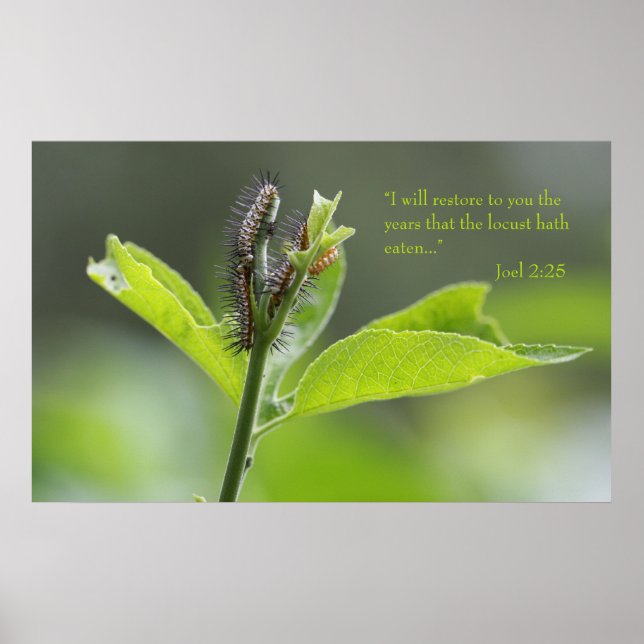 Joel 2:25 Scripture Poster (Version C) (Front)
