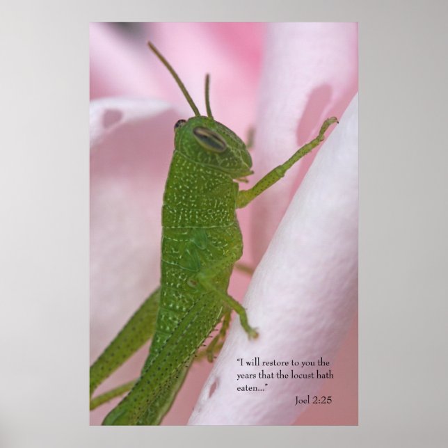 Joel 2 Scripture Poster (Front)