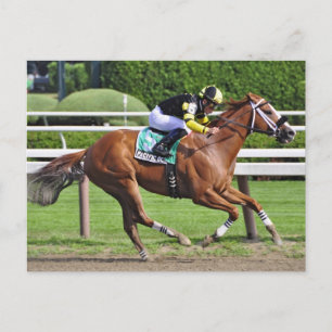 Joel Rosario aboard Pacific Ocean Postcard