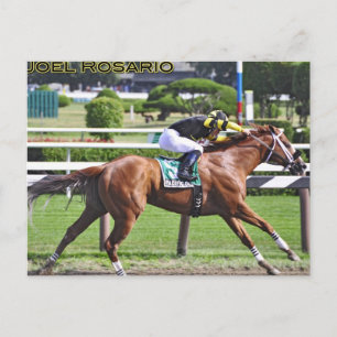 Joel Rosario aboard Pacific Ocean Postcard