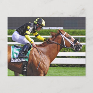 Joel Rosario aboard Pacific Ocean Postcard