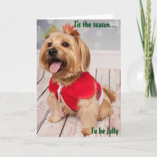 Joey experiences the beauty of Christmas Holiday Card