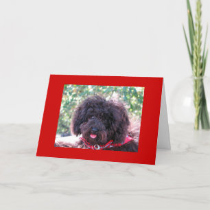 Joey "Thank You" Thank You Card