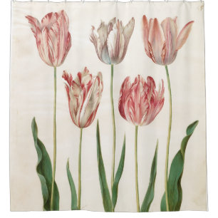 Johannes Simon Holtzbecher Tulips Shower Curtain