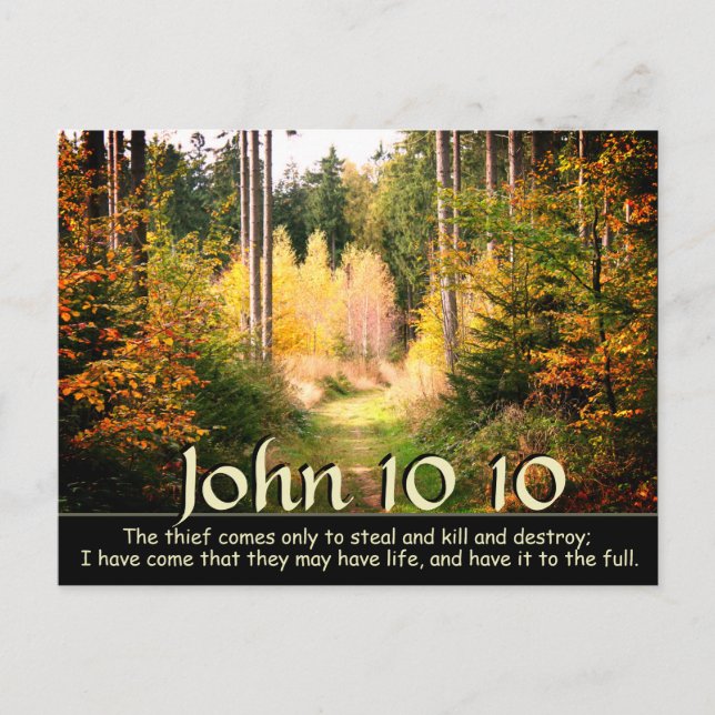 John 10 10 I came that you have life to the full Postcard (Front)