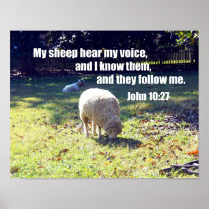 John 10:27 poster