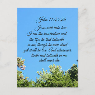 John 11:25,26 Jesus said unto her, I am the Postcard