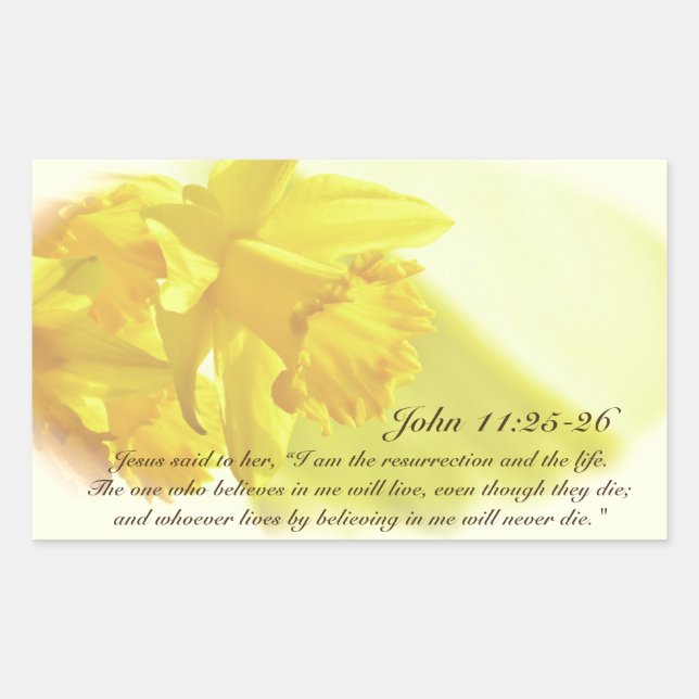 John 11:25-26, Spring Yellow Daffodils Rectangular Sticker (Front)