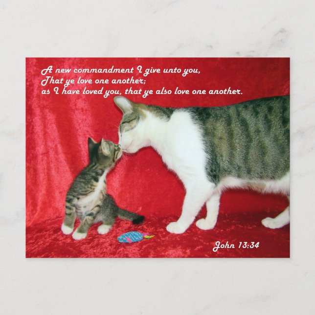 John 13:34 Bible Verse Postcard (Front)