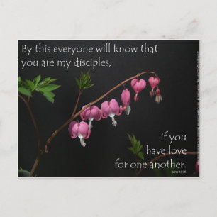John 13:35 - Love for one another Postcard