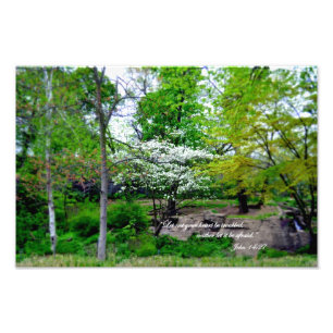 John 14:27  Let not your heart be troubled! Photo Print