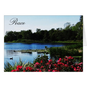 John 14:27 Peace Card