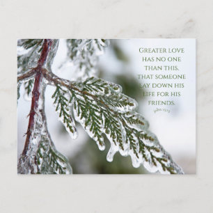 John 15:13 Icy Evergreen Postcard