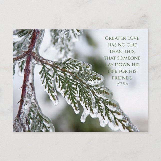 John 15:13 Icy Evergreen Postcard (Front)