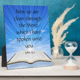 John 15:3   plaque