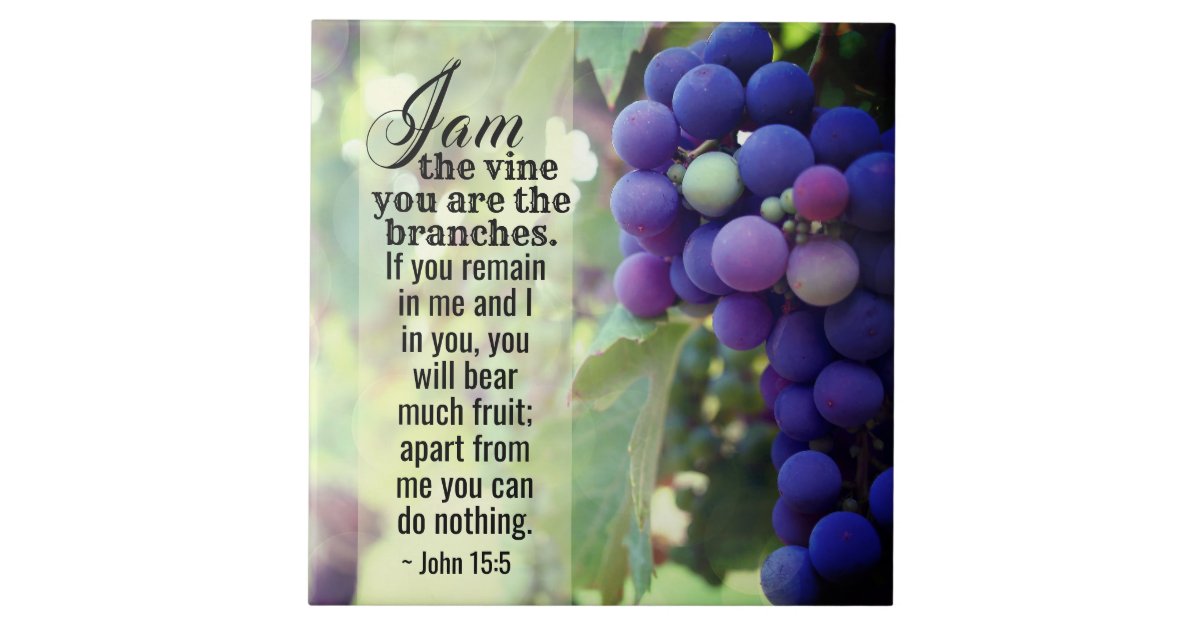 John 155 I Am the Vine You are the Branches Bible Tile Zazzle