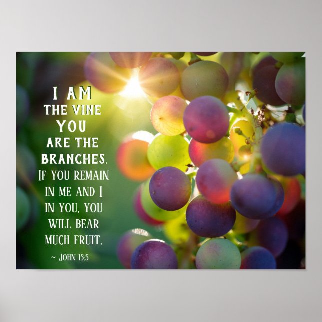 John 15:5 I Am the Vine You are the Branches Jesus Poster (Front)