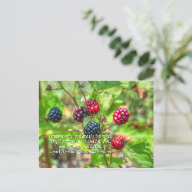 John 15:5 postcard (Standing Front)
