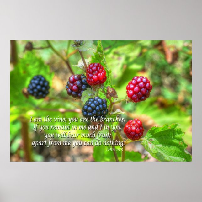 John 15:5 poster (Front)