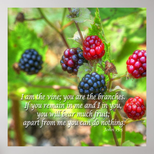 John 15:5 poster (Front)