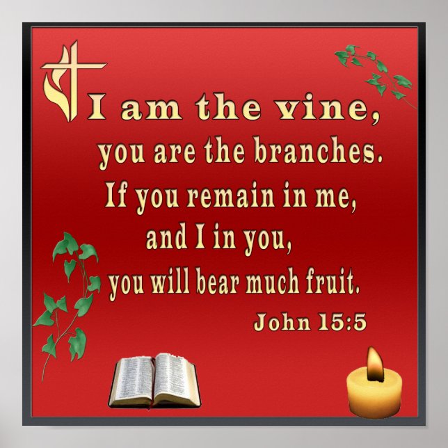 John 15:5  poster (Front)