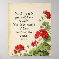 John 16:33 Bible Verse Image  Poster