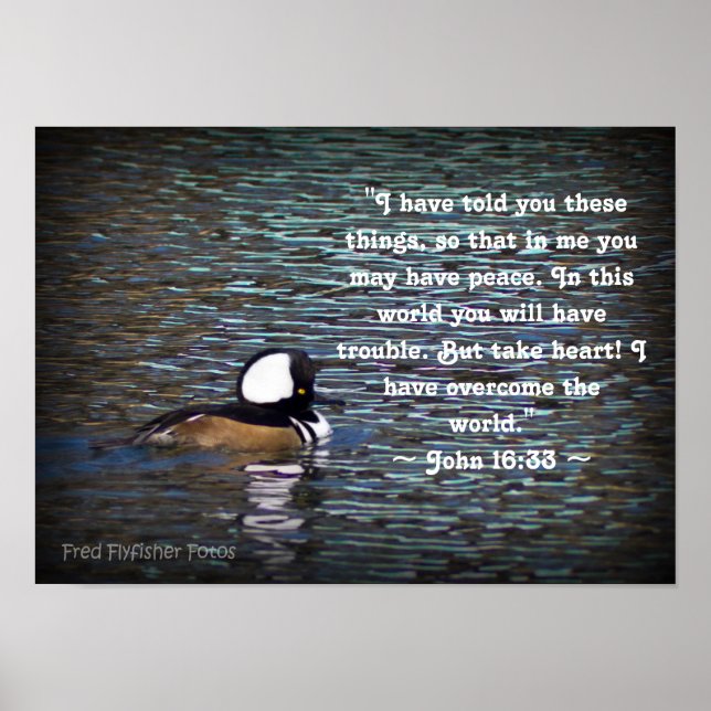 John 16:33 poster (Front)