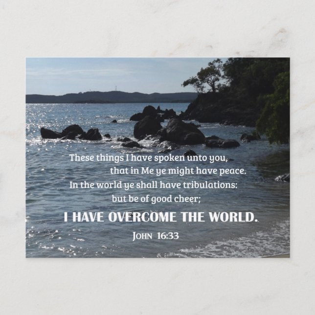 John 16:33 These things I have spoken unto you Postcard (Front)