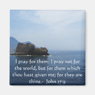John 17:9 I pray for them: I pray not for the... Magnet