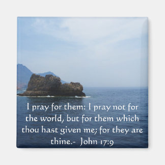 John 17:9 I pray for them: I pray not for the... Magnet
